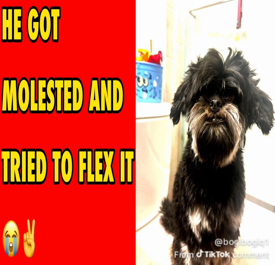 Ohio shock! tweet media