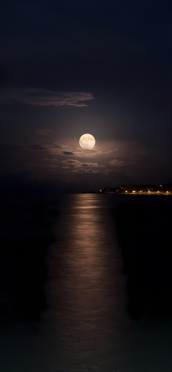 MOON LOVER tweet media