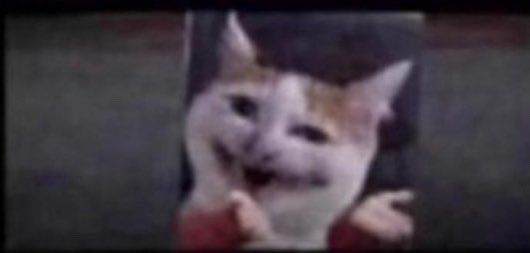 Hope I can unspray my money too?🤲😂