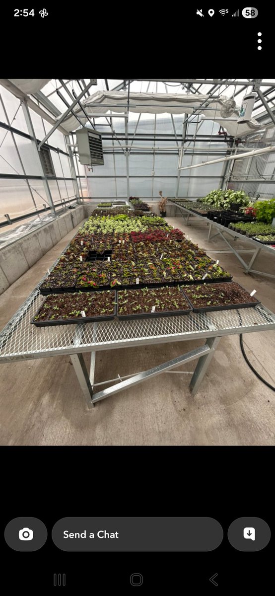 Tim Gravert tweet media