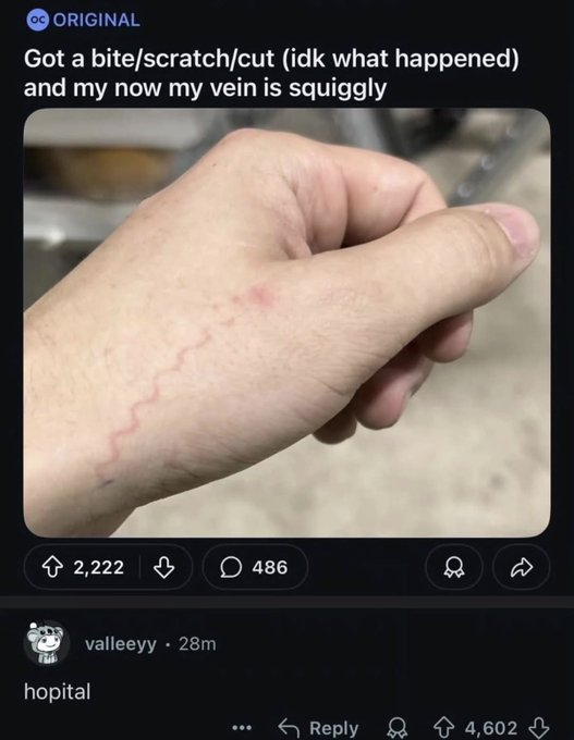 Reply Archive tweet media