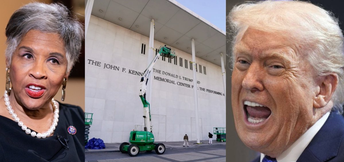 Occupy Democrats tweet media