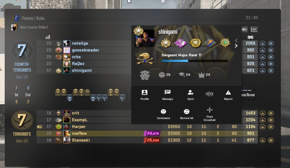 Matthew 🦧 tweet media