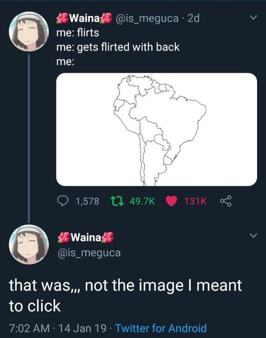 Reply Archive tweet media