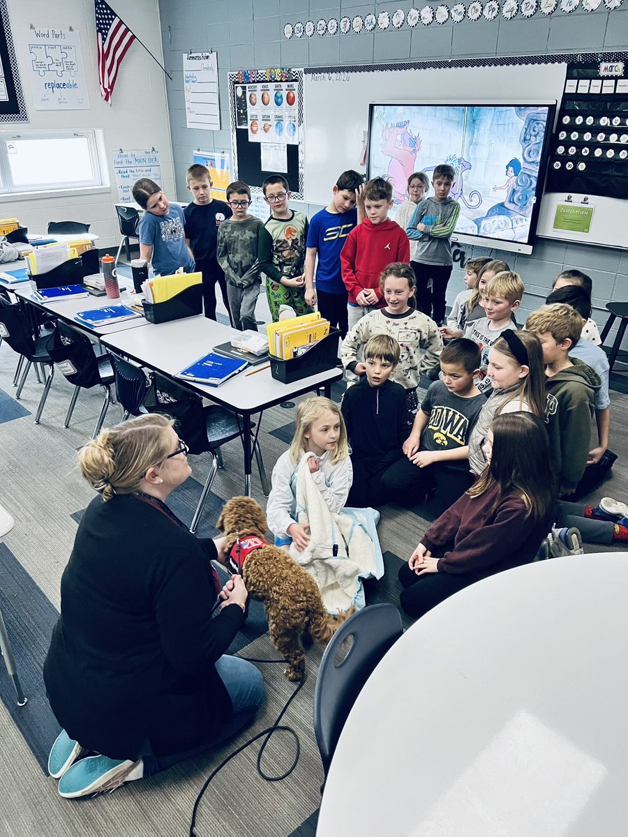 Cari Syreini tweet media