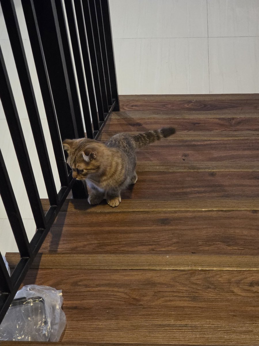 wonwoogiri tweet media