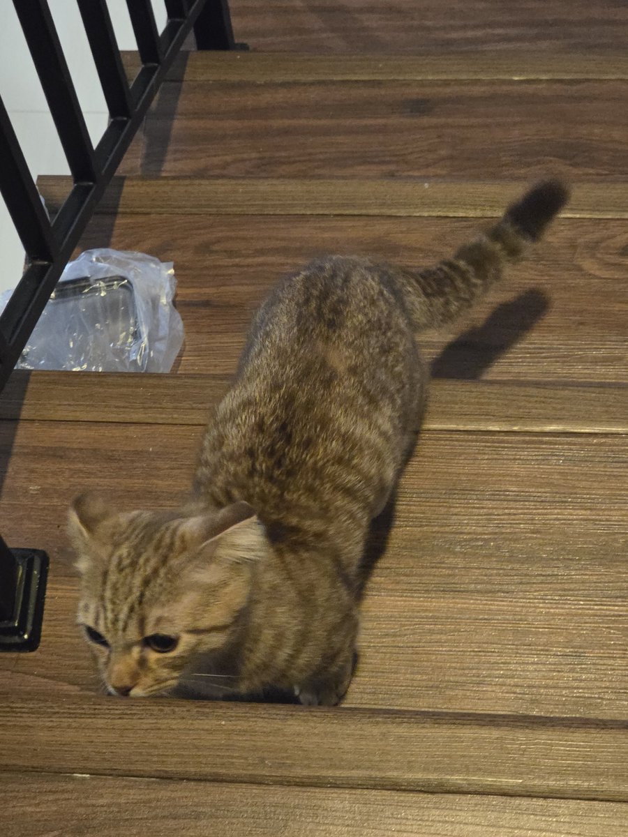 wonwoogiri tweet media