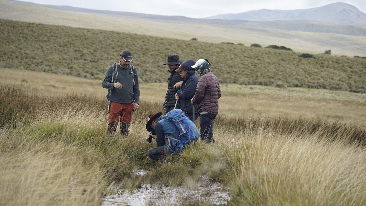 FONAG | El primer Fondo de Agua del mundo tweet media