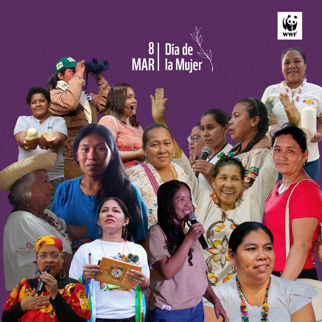 WWF Bolivia tweet media
