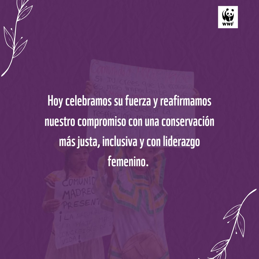 WWF Bolivia tweet media