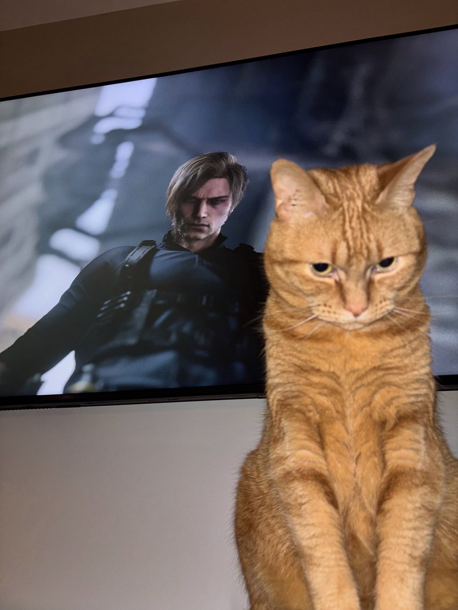 kittyzat13's tweet photo. ( •̀ ᴖ •́ )
•
#ResidentEvilRequiem #LeonKennedy #RE9 #cat https://t.co/swyDHklVwI