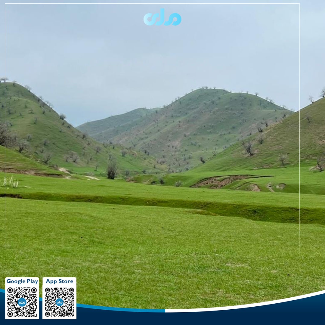 انځورونه 📷
د بادغیس د ابکمري ولسوالۍ اړوند د پسته‌لق سیمې سمسور او زړه راښکونکی طبیعت!
#ملي‌تلویزیون