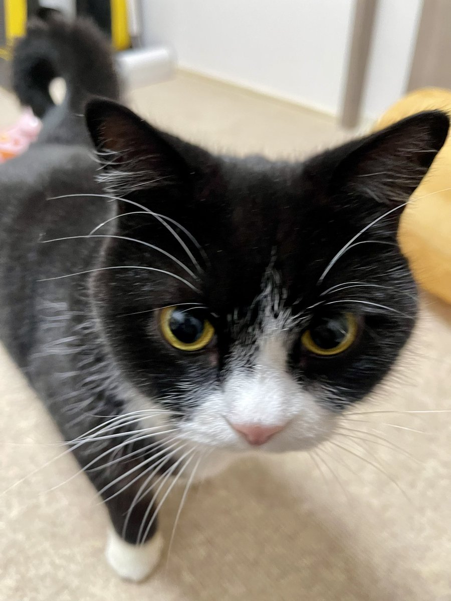 たろう (@taro20216) / Posts / X