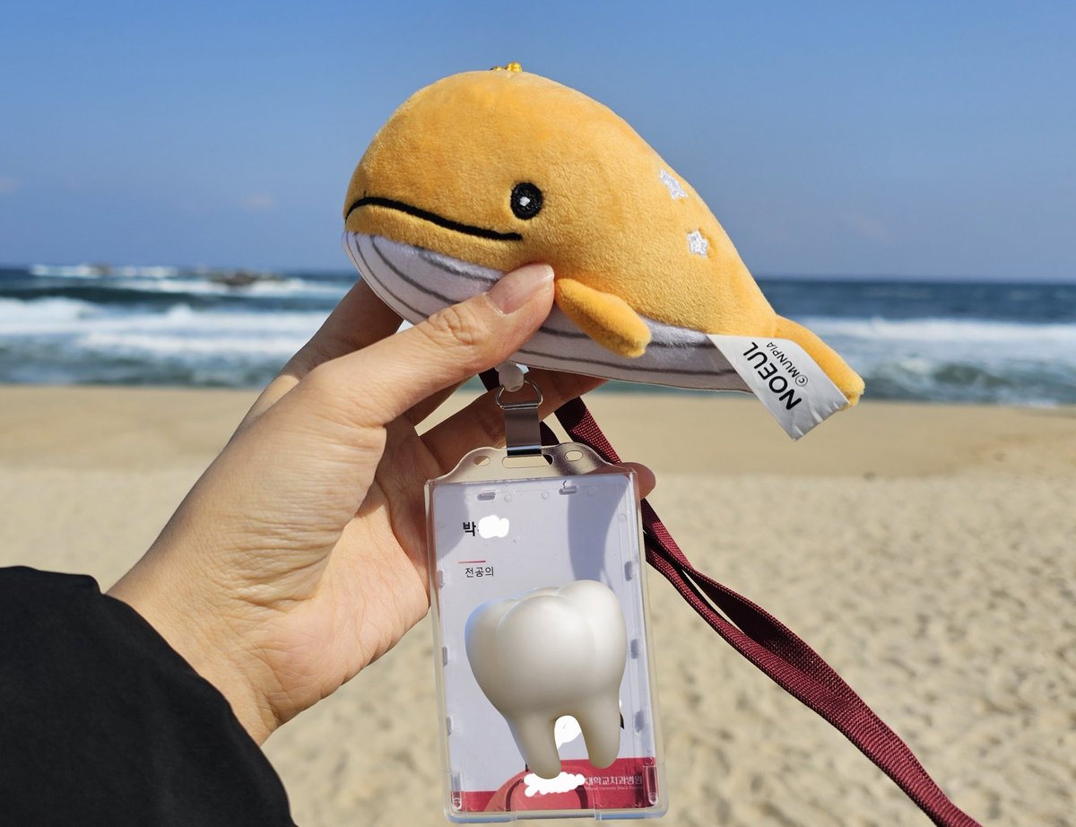 어바등 보다가 치과의사 된 사람 근황입니다
바다 옆 치과에서 일하게 되었습니다...