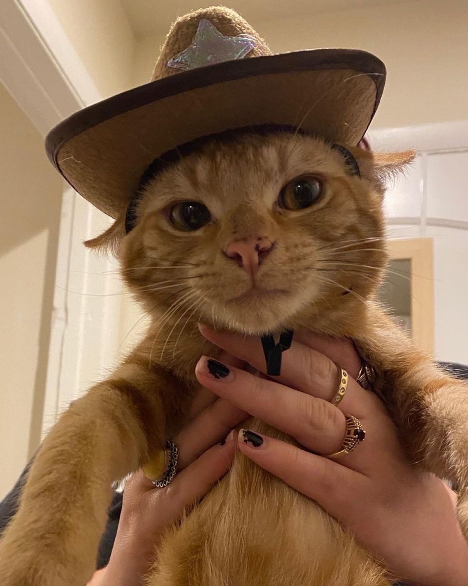 Mona pero no tu mona tweet media