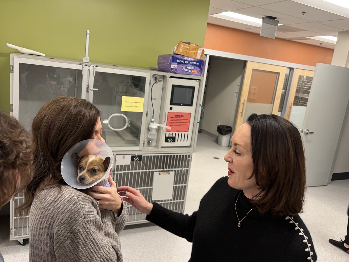 Jessica Killin tweet media