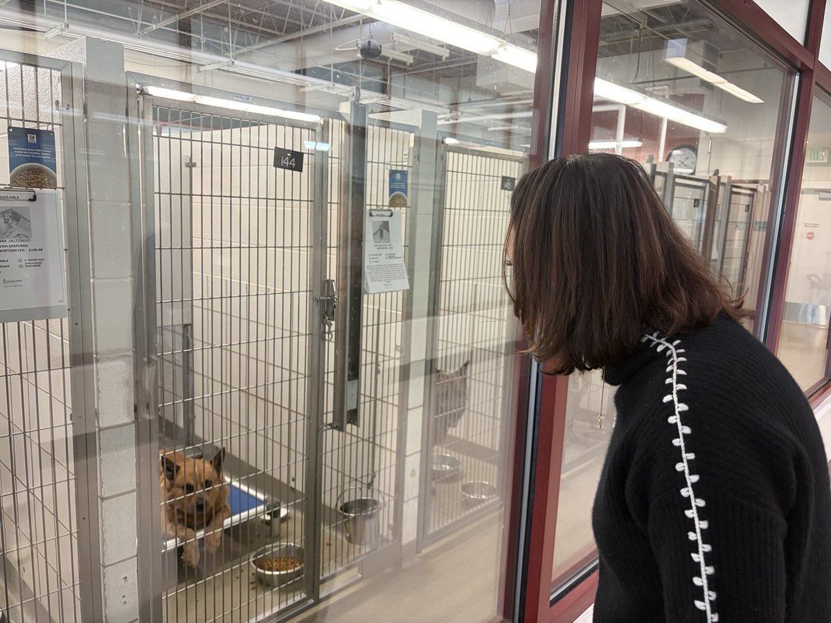 Jessica Killin tweet media