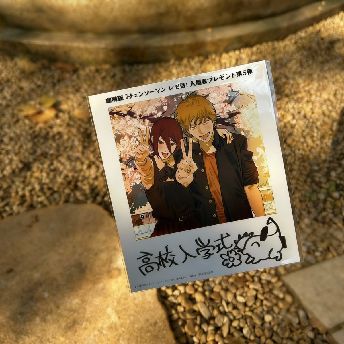 magnolia tweet media