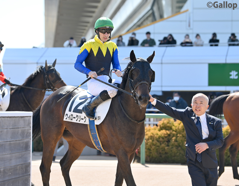 中山5Rは1番人気 #ウィロークリーク が勝利！ 単勝2倍の支持に応えました！
父ラブリーデイ、母クロウキャニオン。きょうだいにボレアス、カミノタサハラ、ヨーホーレイクらがいます。