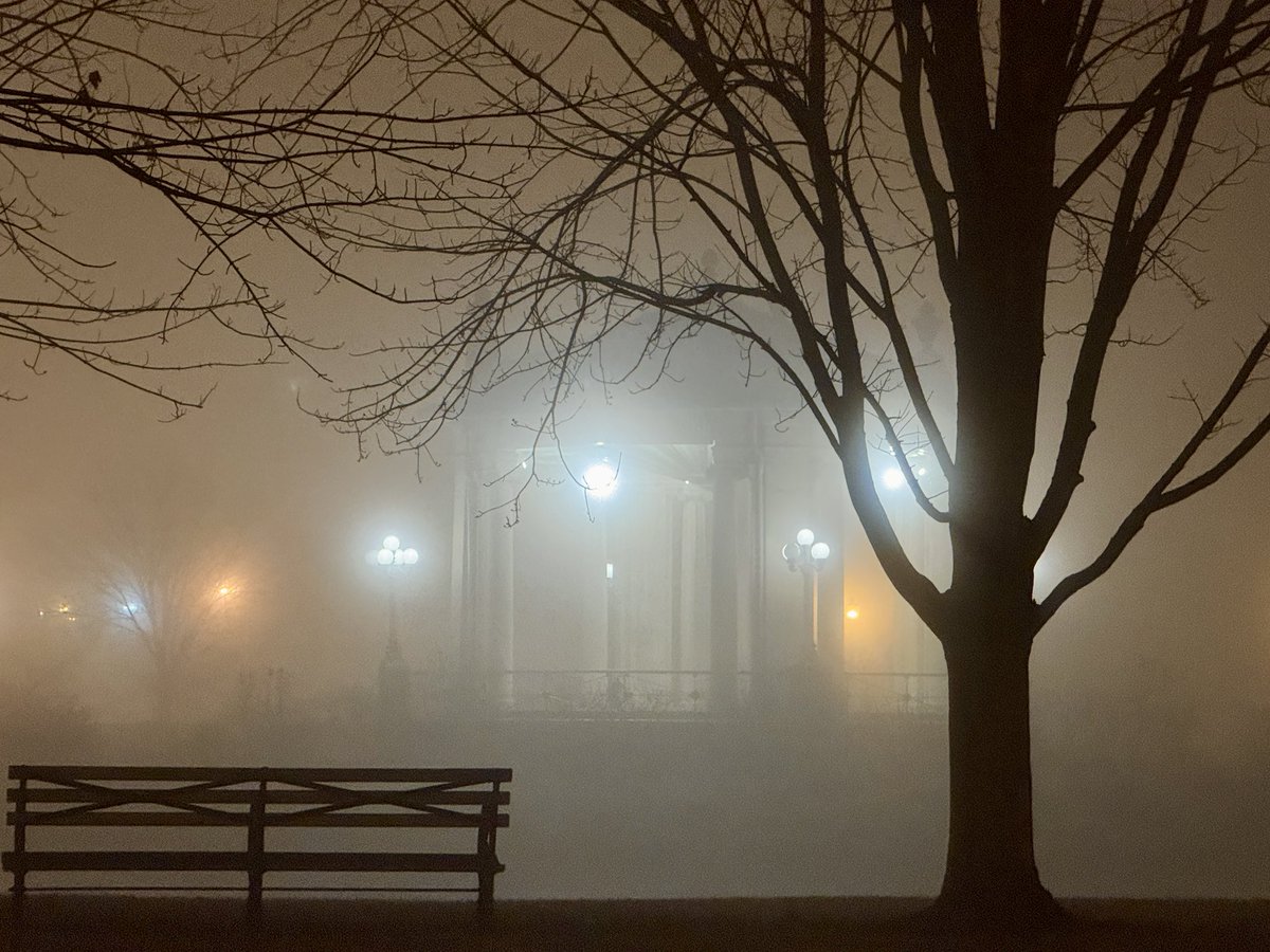 Scenes from last night's fog in Forest Park, St Louis