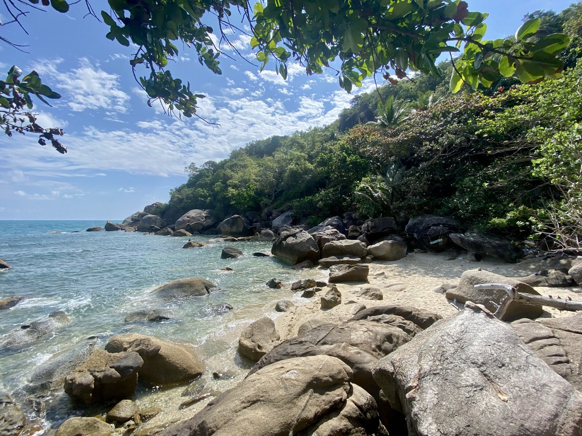 TimTam18822's tweet photo. สายลมเป็นตัวกำหนดคลื่น
ความคิดเป็นตัวกำหนดจิตใจ
#Samui #สมุย #relex #sea https://t.co/zXT192TUaf