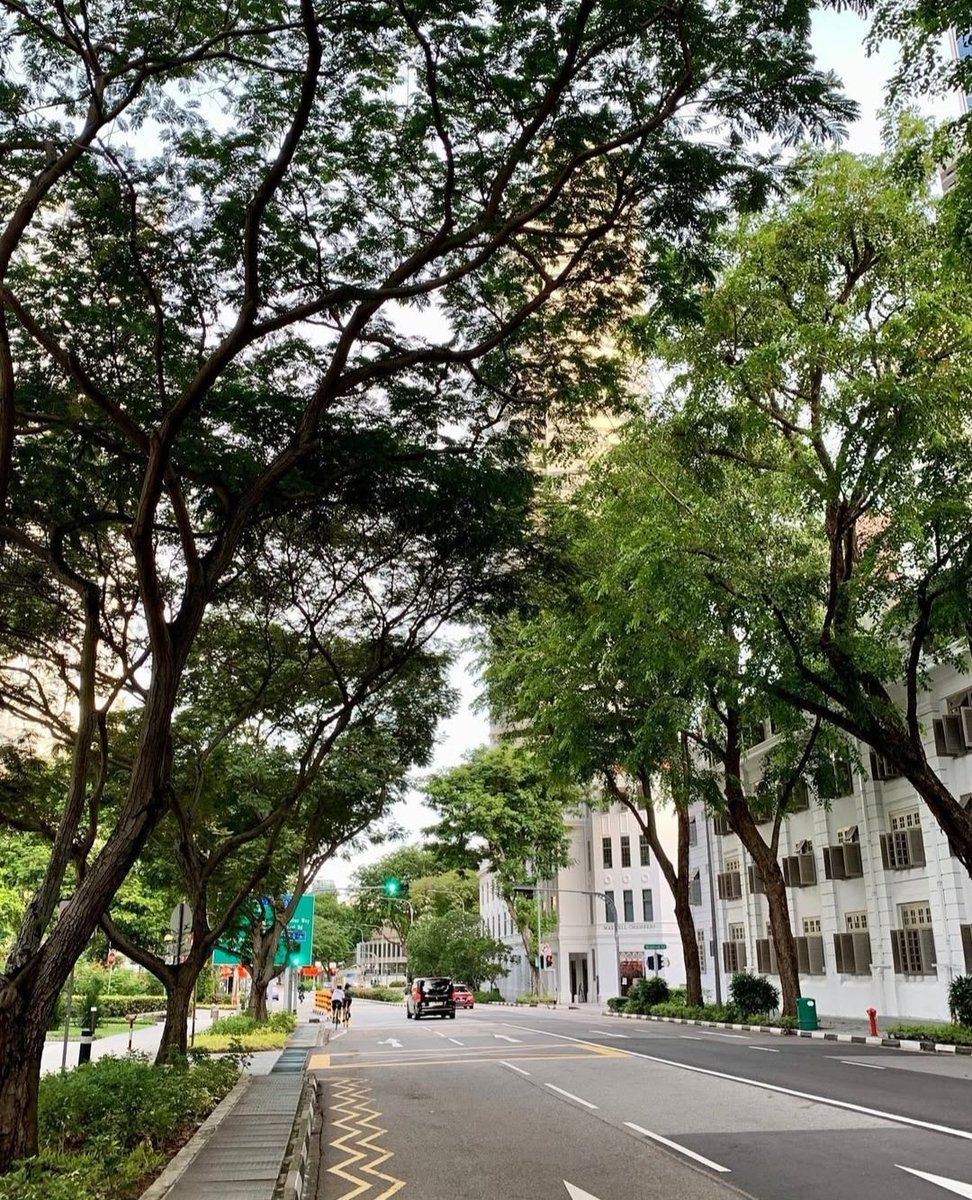 พูดได้ไหม​ คนมักไปโทษ​ "แดดแรง​ แดดร้อน" ในเมืองไทย​ ทำให้การใช้ชีวิต​ข้างนอกลำบาก​ แต่ไม่ใช่ทั้งหมดครับ​ แต่จริงๆมันคือปัญหาเชิงโครงสร้างของเมือง​
- นอกจากพื้นที่​สีเขียวเราน้อย​ ตัดต้นไม้โง่ๆ​แล้ว เมืองใหญ่ๆของไทย​โดยเฉพาะ​กรุงเทพ​ กำลัง​เจอปรากฏการณ์​ urban heat​ island