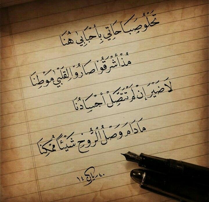 رغد العجمي tweet media