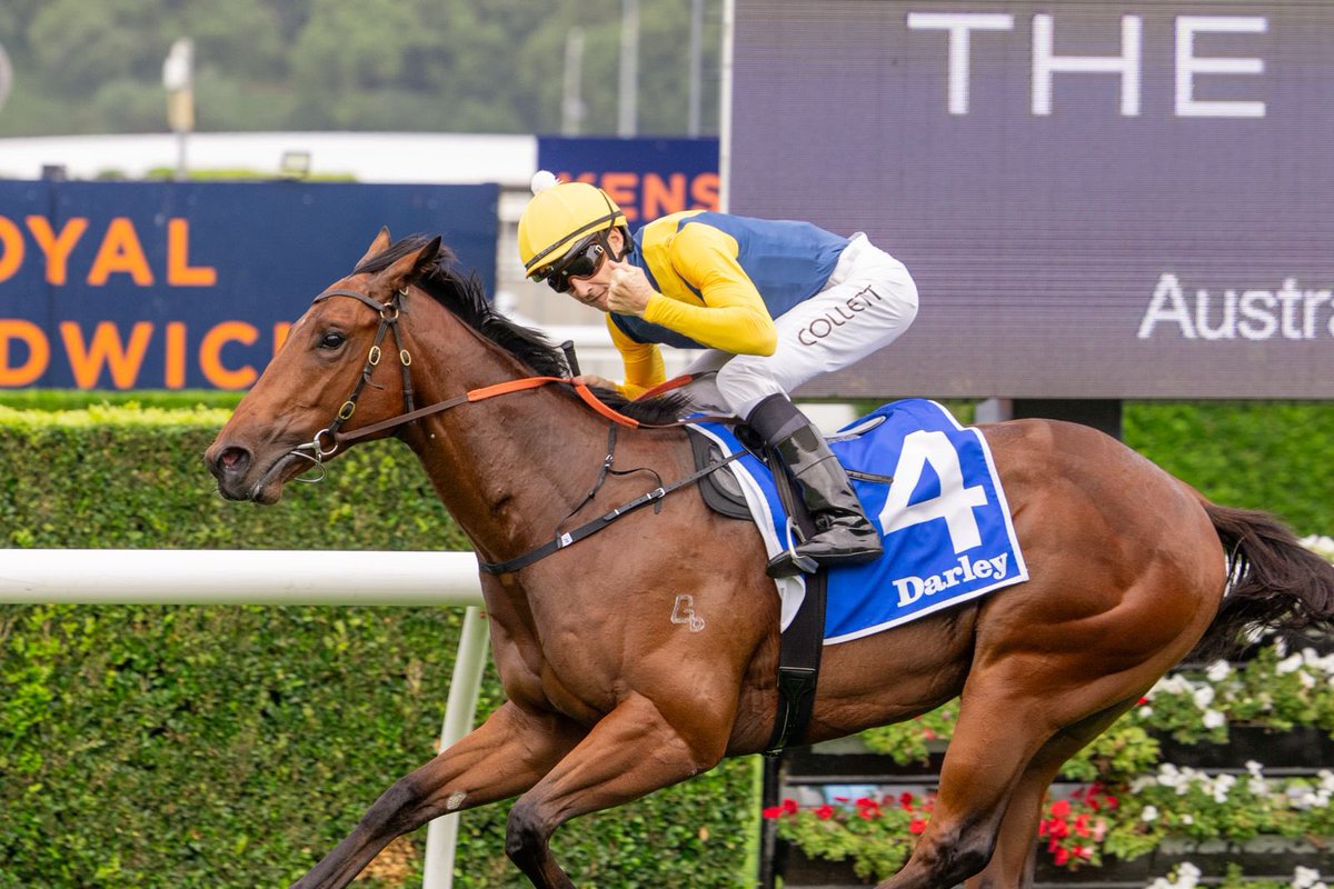 ClarkeBstock's tweet photo. Bring on the Slipper! 🔥 

Paradoxium takes out the Group 2 Todman Stakes in dominant fashion and cements his place in the Group 1! 

The son of Extreme Choice was a @mmsnippets Yearling purchase for @BBakerRacing , @ridgmont_ and connections.

@silverdale_farm @NewgateFarm https://t.co/MGr7o4Pz4p