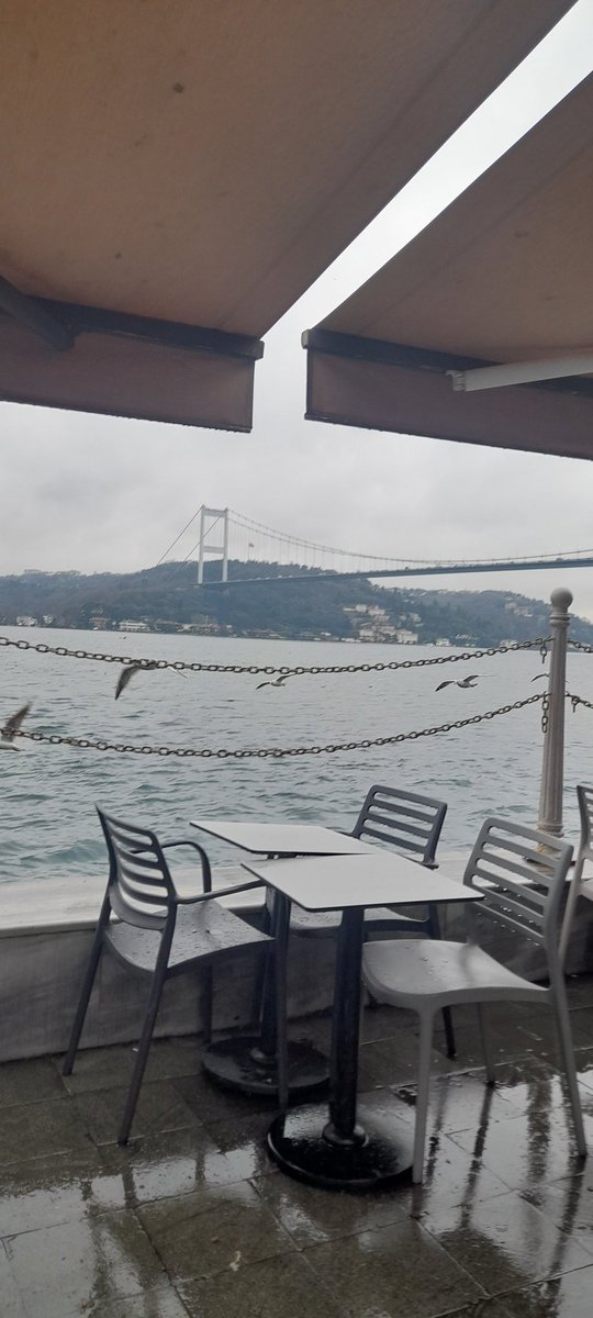 İstanbul'u dinliyorum gözlerim kapalı.
-Orhan Veli Kanık