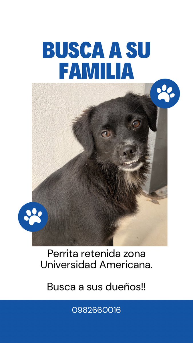 Marcando Huellas tweet media