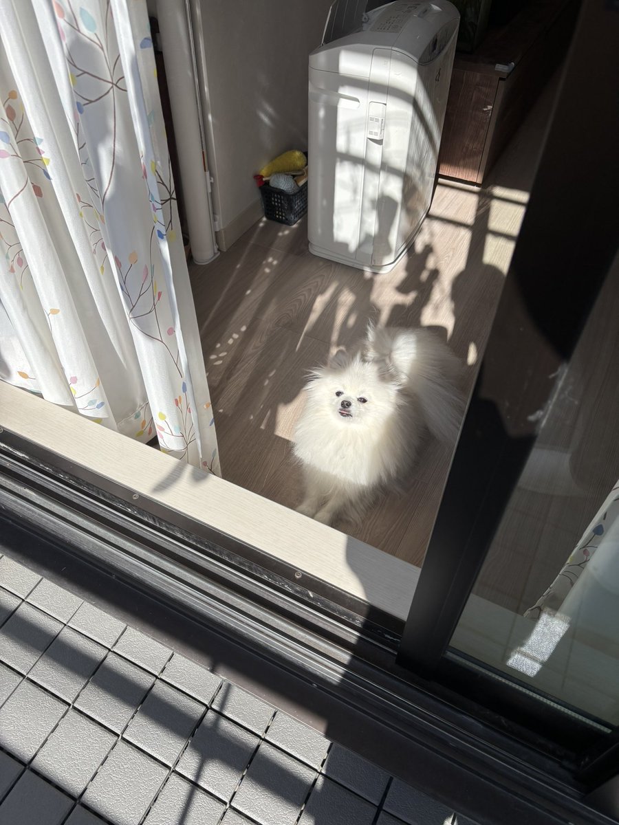 あぐ(8)うに(3)🐾🐾 tweet media