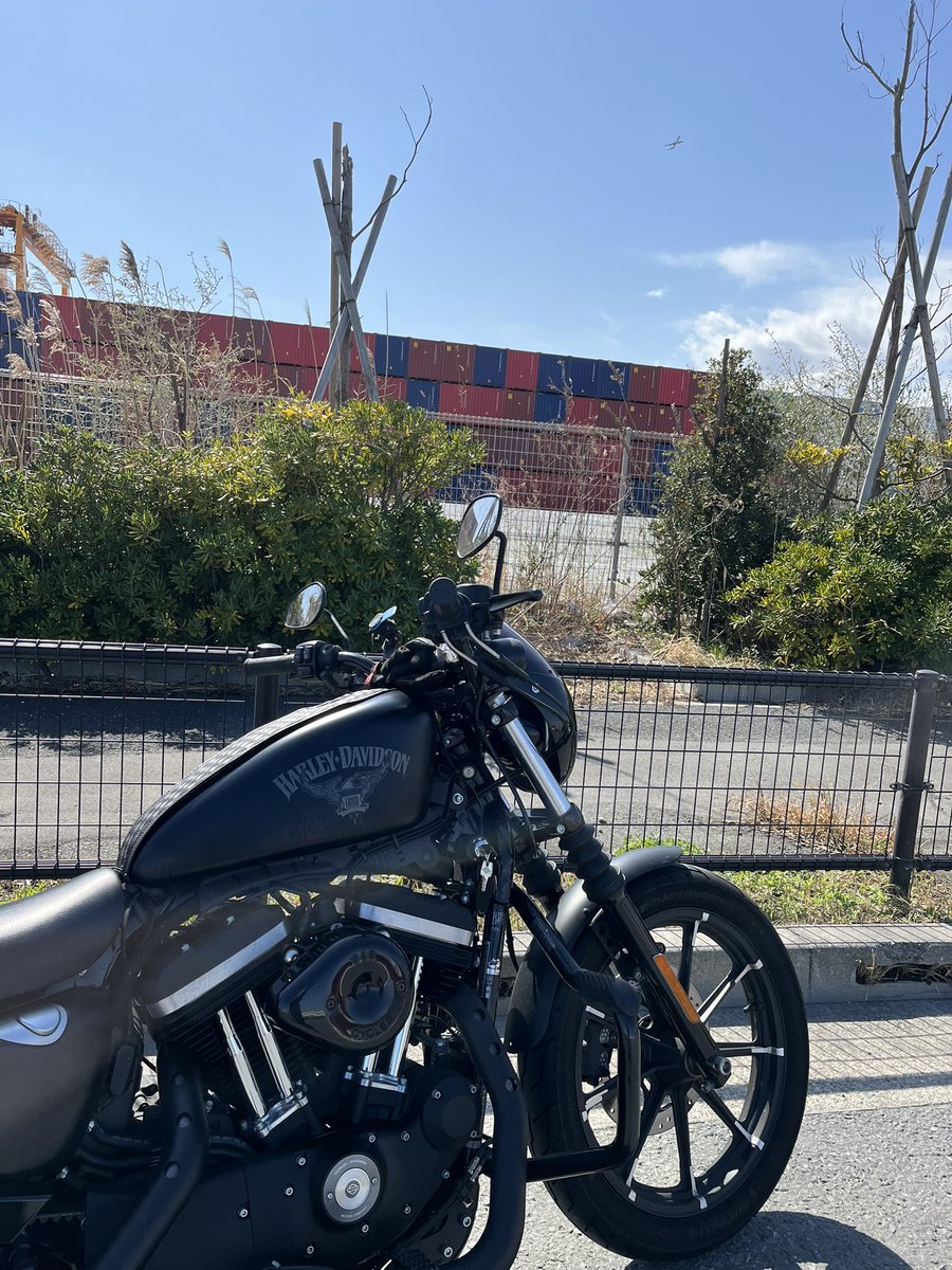 le_mocha's tweet photo. 天気はいいが、風で花粉がヤバいわ
#バイク好きな人と繋がりたい #ハーレーダビッドソン https://t.co/cKpVzTx1v6