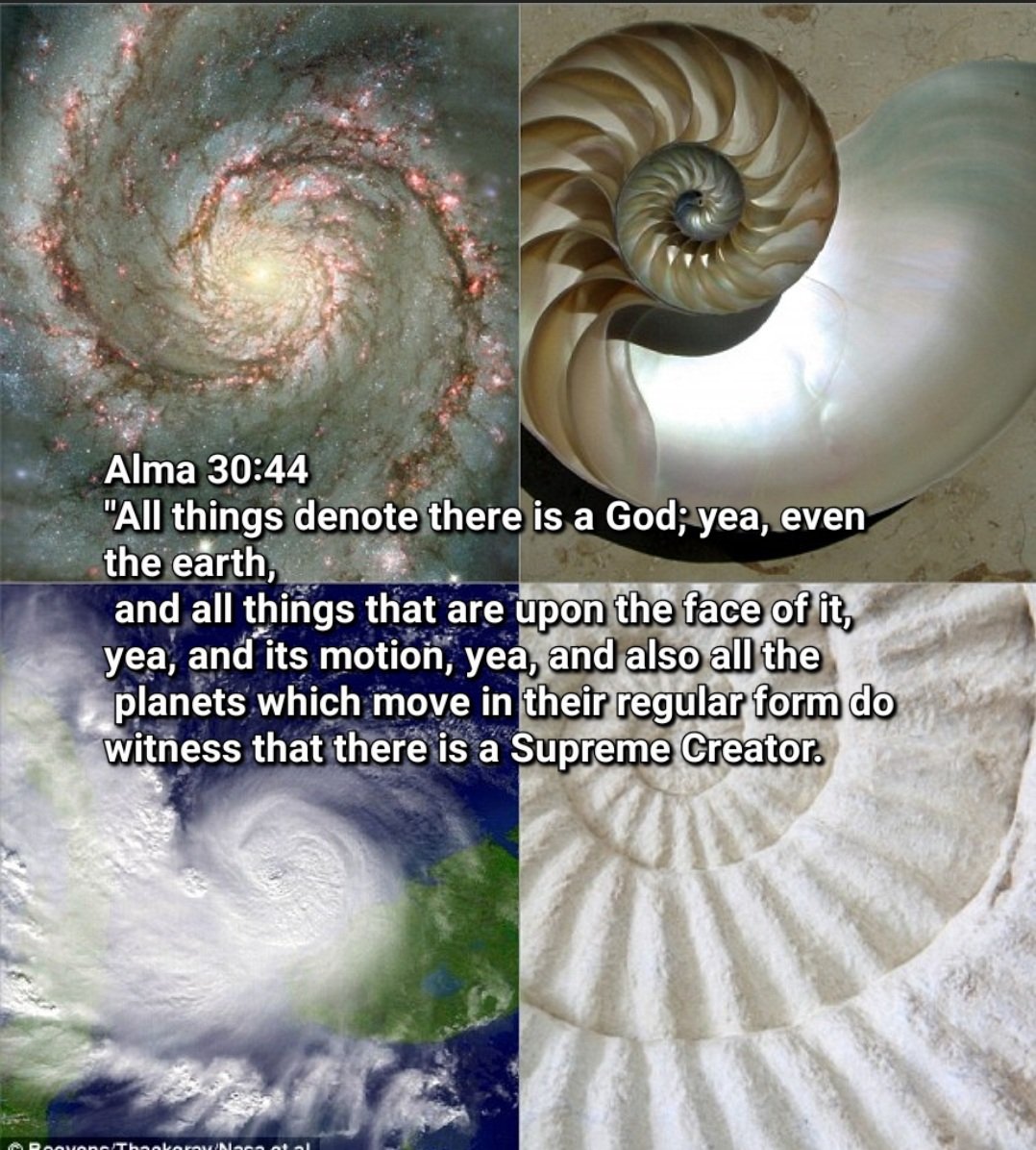 It is impossible to visit the temple and not feel the magnitude of God's love. 
Every person that has or will ever live is a beloved child of God.
Each has the opportunity to learn of Christ.
The power is magnificent.
You matter. Your choices matter. This moment matters