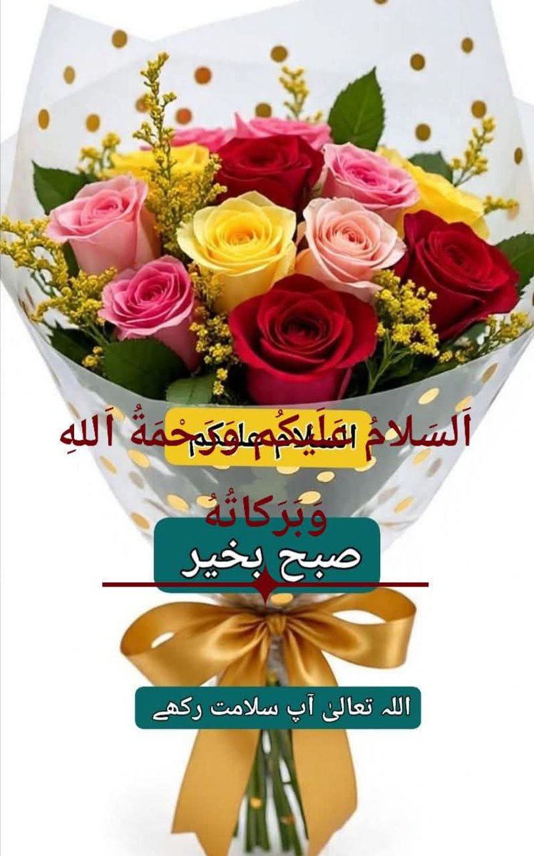 Syed Writs✨️ tweet media