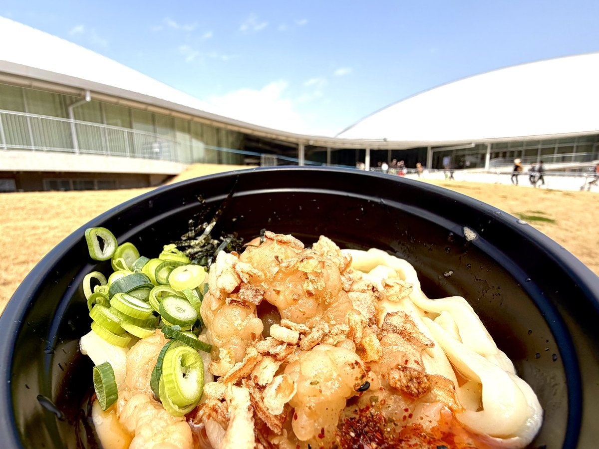 今日はハローアリーナに来ています！
フェス飯にヨコクラうどんさんを発見したので、即並びでハロアリ限定の釜ホルを頼みました😆✨

ホルモンゴロゴロで美味しいです！！！
一般の方も食べられる場所なのでぜひ✨✨

#今日食べたうどん
#ヨコクラうどん <a href="/4596udon/">ヨコクラうどん</a> 
#うどん屋さんのうどん猫