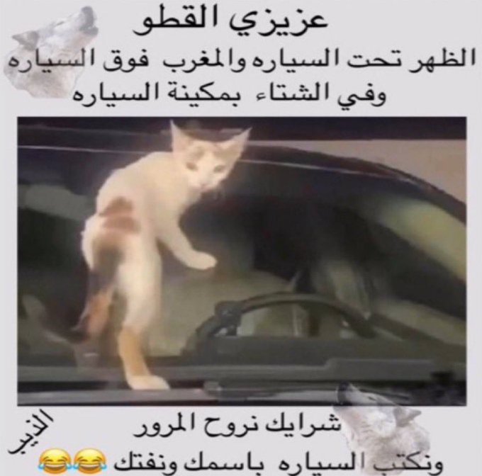 <a href="/evankhill/">جوديث ~</a>