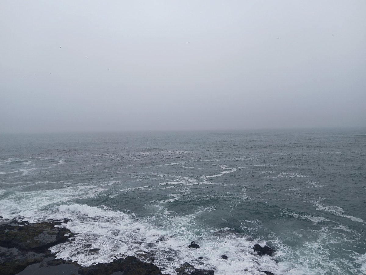 MaraJadeSkywalk's tweet photo. #Non #StarWars #MaraJadeSkywalker #Depote #Bay #Oregon 🐋🐬🦭🐟☁️🌬🌫 https://t.co/Yn7aSG4TcC