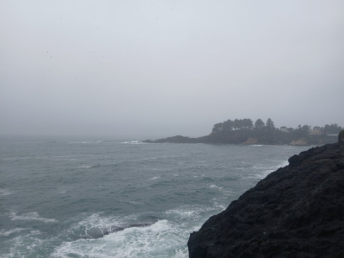 MaraJadeSkywalk's tweet photo. #Non #StarWars #MaraJadeSkywalker #Depote #Bay #Oregon 🐋🐬🦭🐟☁️🌬🌫 https://t.co/Yn7aSG4TcC