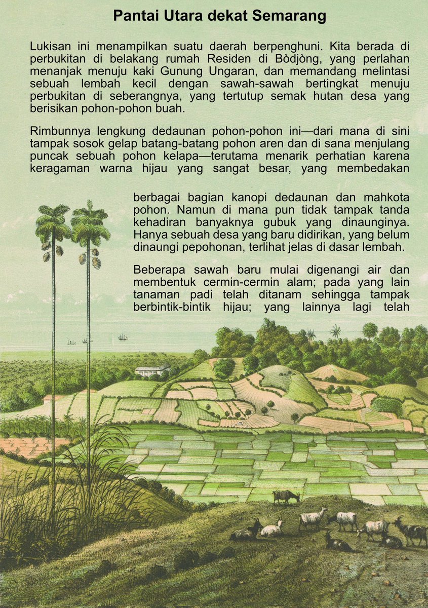 Chasing Peatland 🇵🇸 tweet media