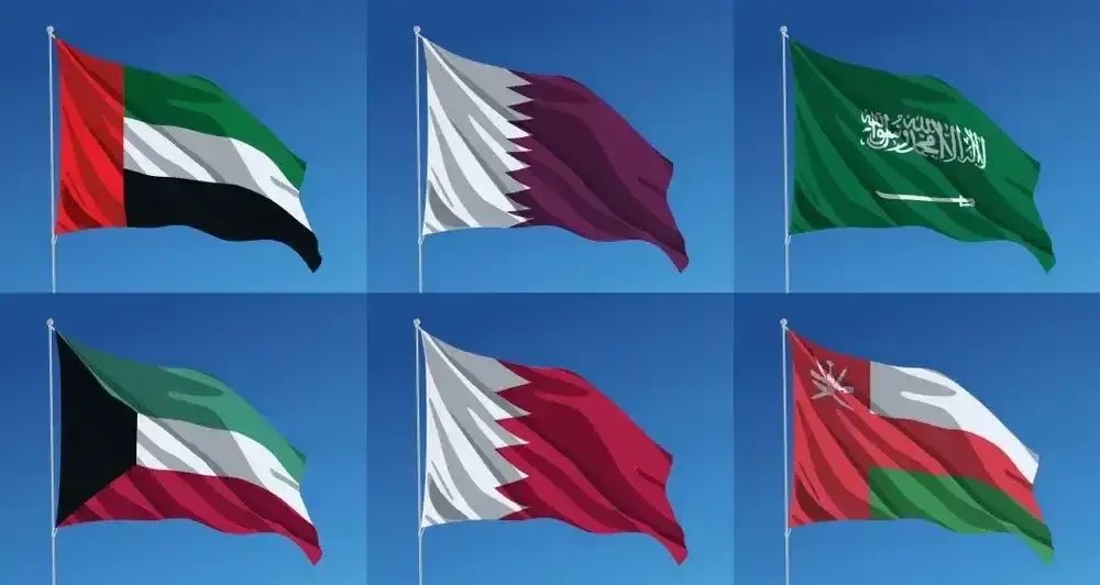 محمود رجب | Mahmoud Ragab tweet media