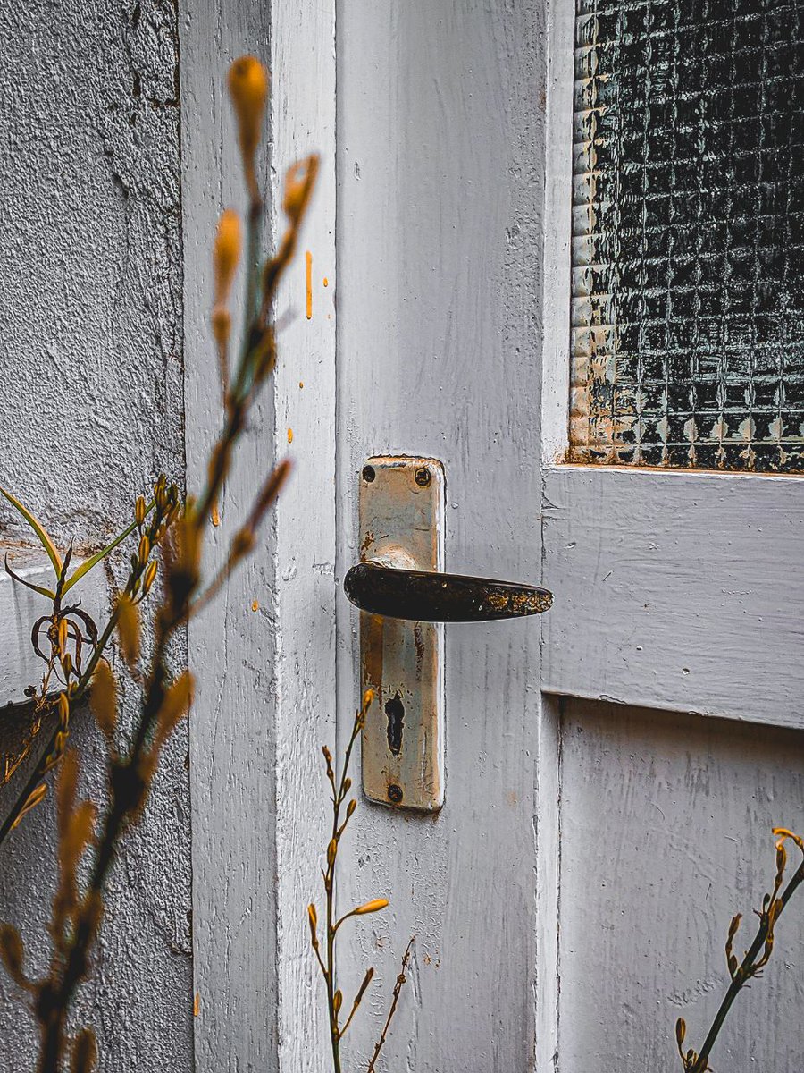 Phonenurd's tweet image. Since everyone seems worried about MFD on the new Galaxy S26 ultra here are some close up shots . 
Expert raw + Lightroom 
#ShotOnSnapdragon 
#withGalaxy