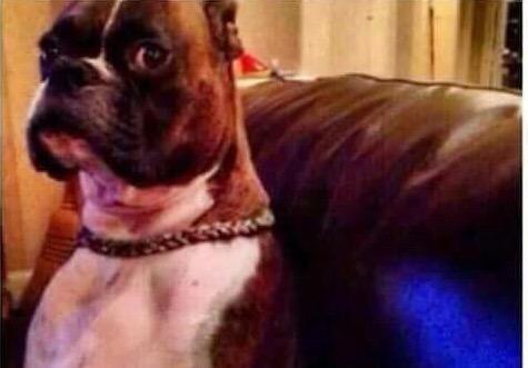 Wowsas🔞 tweet media