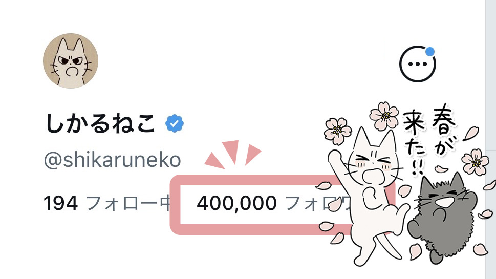 mojacookie's tweet photo. 「しかるねこ」(@shikaruneko)のフォロワー数が40万人超えました‼️フォローしてくださってるみなさま、誠にありがとうございます🌸🌸🌸🌸 https://t.co/VF4LttdHQz