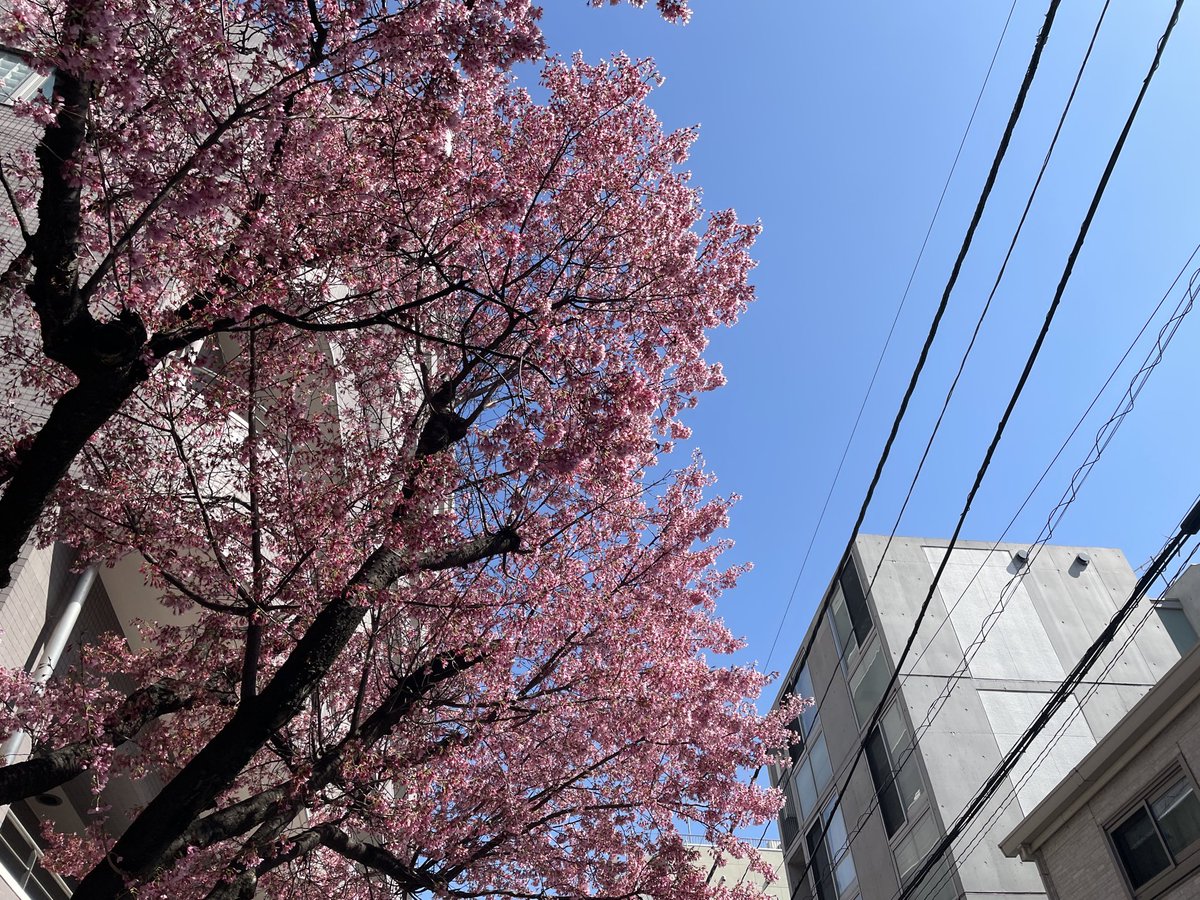 ｖ ａ ｎ ｏ tweet media