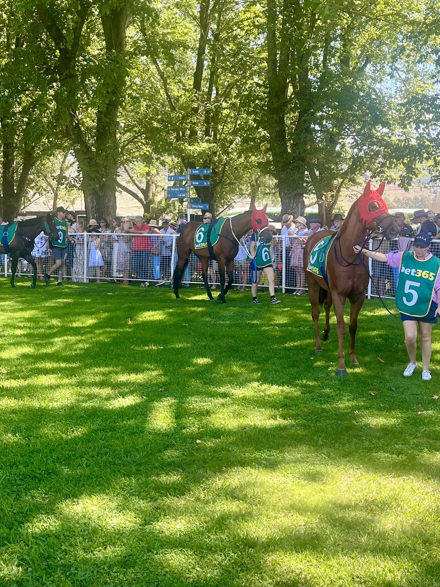 Country Racing tweet media