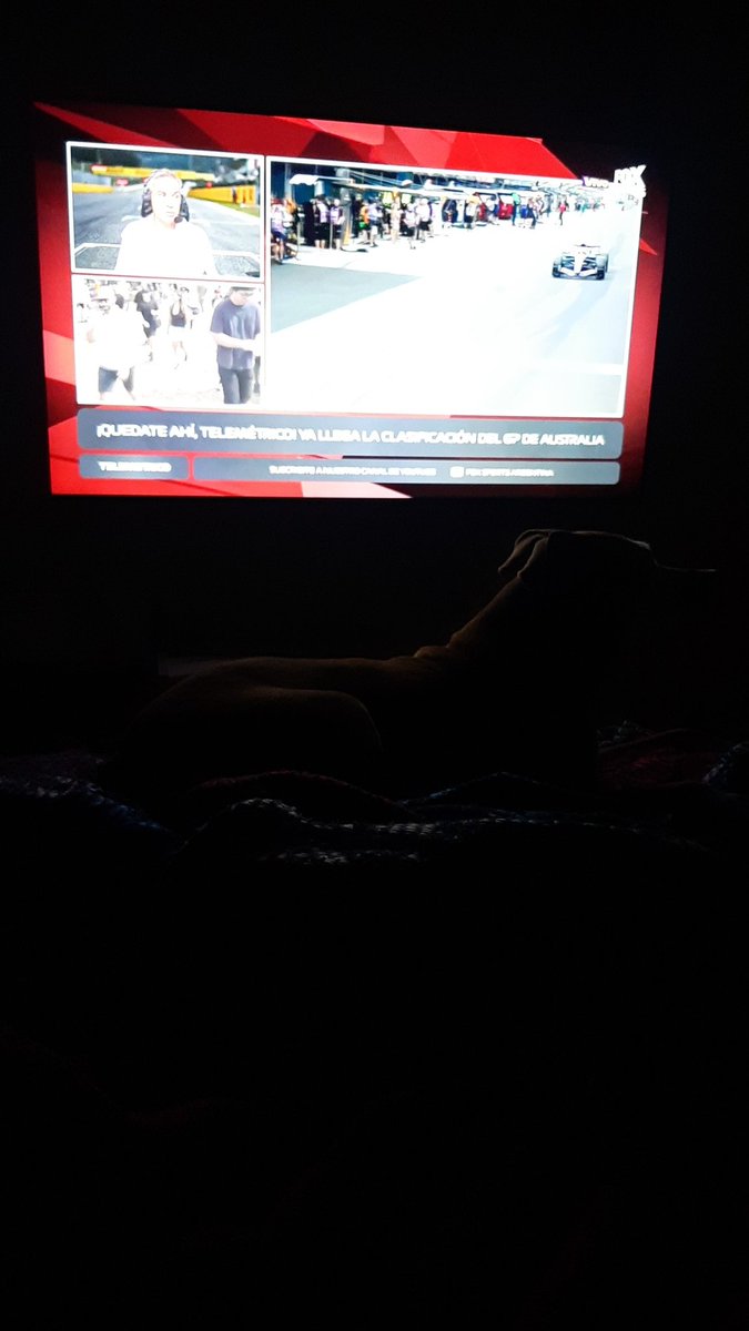 juane000's tweet photo. #TelemetricoF1 #vamosnene #hoynoseduerme #FrancoColapinto Vamos Puente!!! https://t.co/QxsyCxLfyA