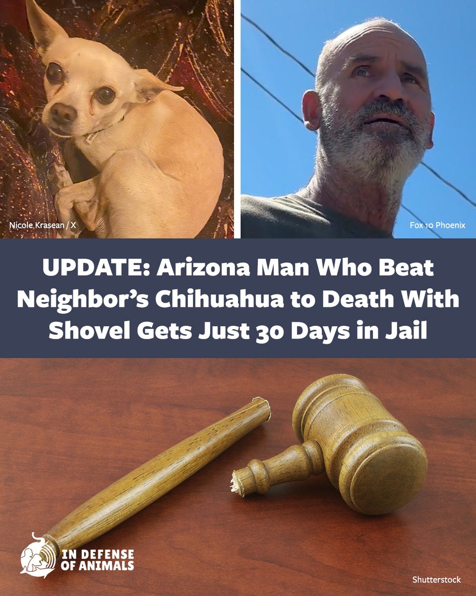 In Defense Of Animals tweet media