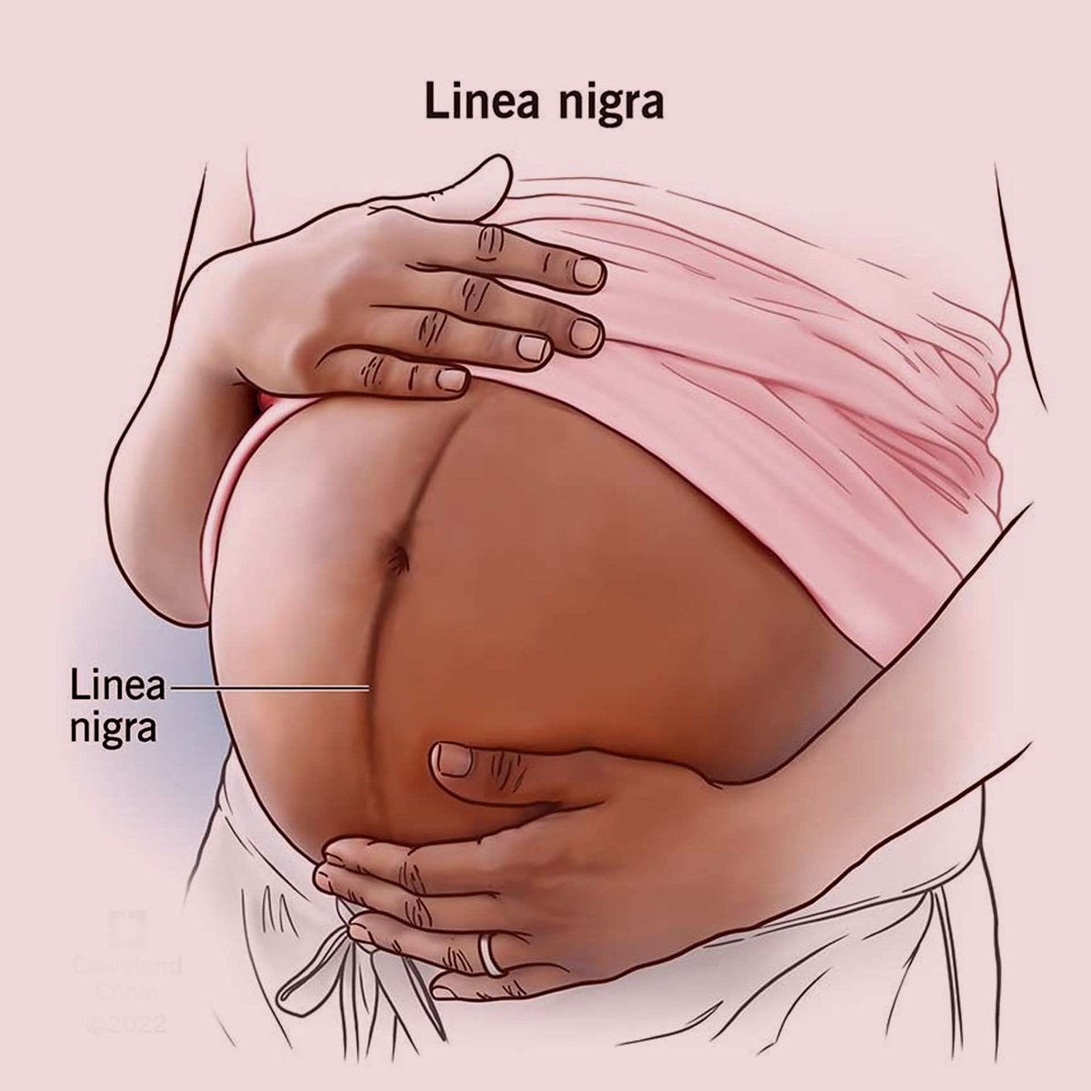 Dr_sani Rx 💉💊🔬 tweet media