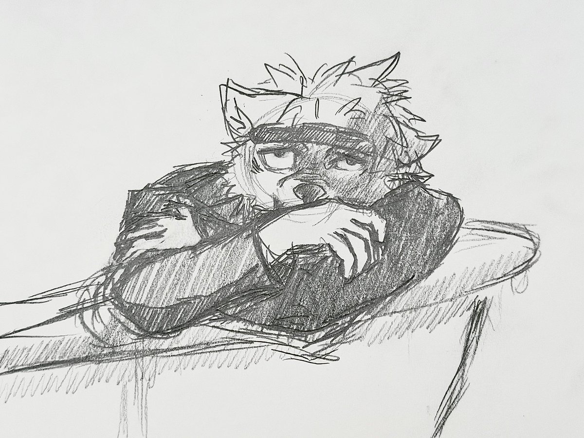 Lumi 🐺 tweet media