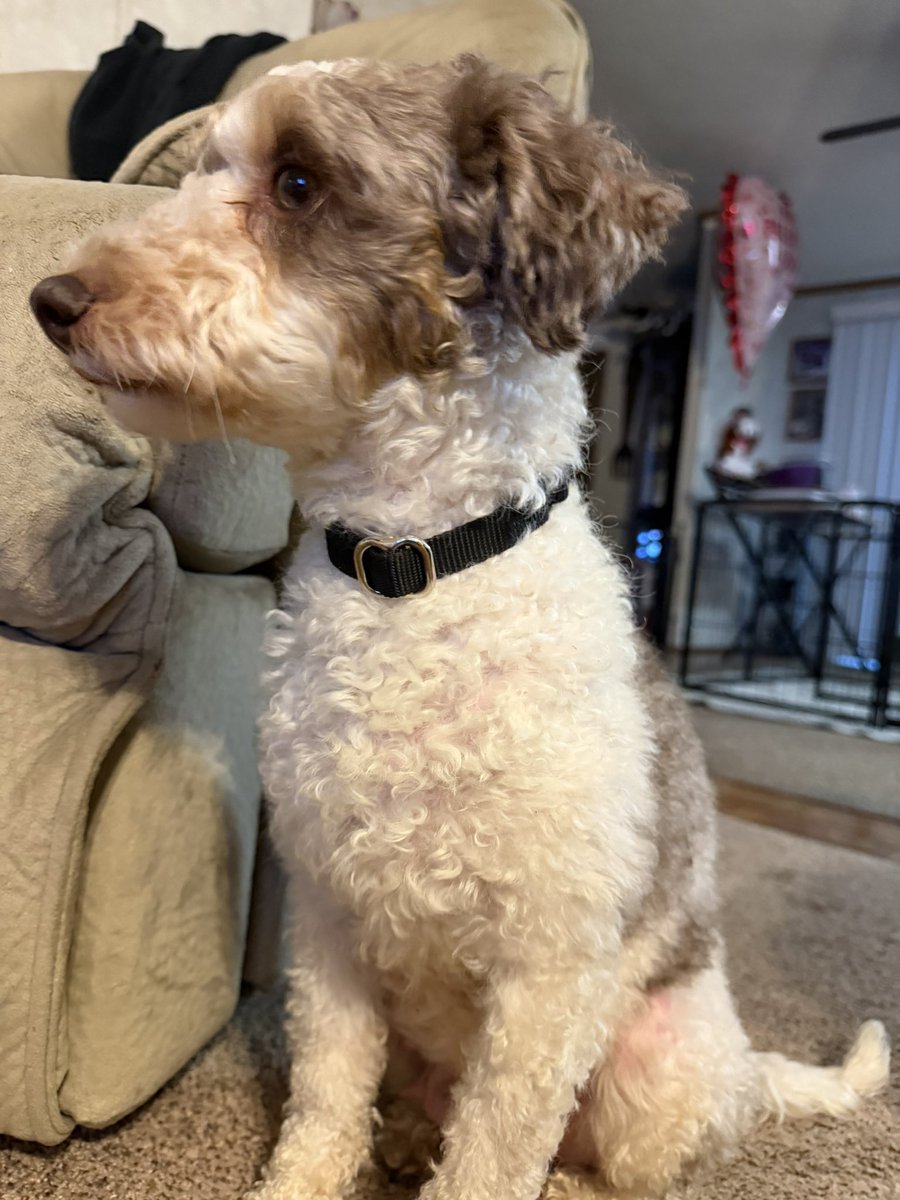 Ethan Cramer tweet media